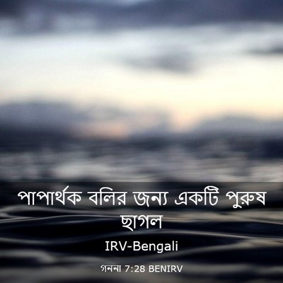 Picture 03 - গননা 7:28 BENIRV - পাপার্থক বলির - Bible Verse Picture