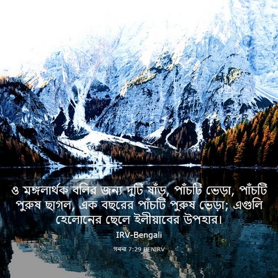 Picture 03 - গননা 7:29 BENIRV - ও মঙ্গলার্থক বলির - Bible Verse Picture