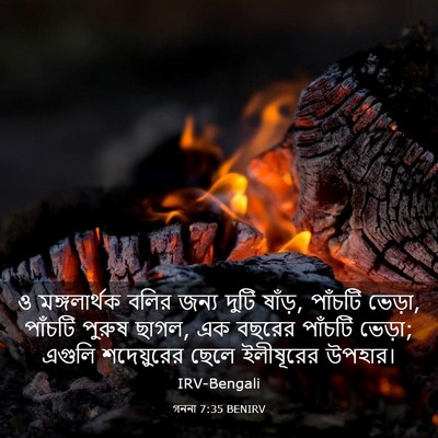 Picture 03 - গননা 7:35 BENIRV - ও মঙ্গলার্থক বলির - Bible Verse Picture