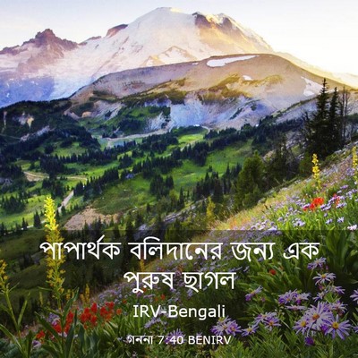 Picture 03 - গননা 7:40 BENIRV - পাপার্থক বলিদানের - Bible Verse Picture