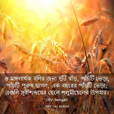 Picture 03 - গননা 7:41 BENIRV - ও মঙ্গলার্থক বলির - Bible Verse Picture