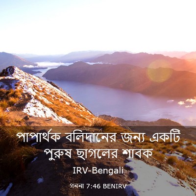 Picture 03 - গননা 7:46 BENIRV - পাপার্থক বলিদানের - Bible Verse Picture