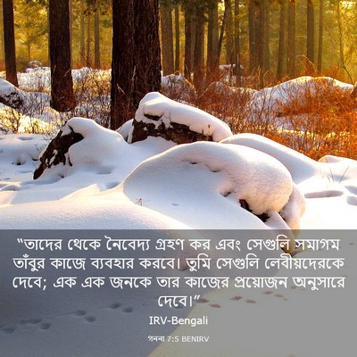 Picture 03 - গননা 7:5 BENIRV - “তাদের থেকে - Bible Verse Picture