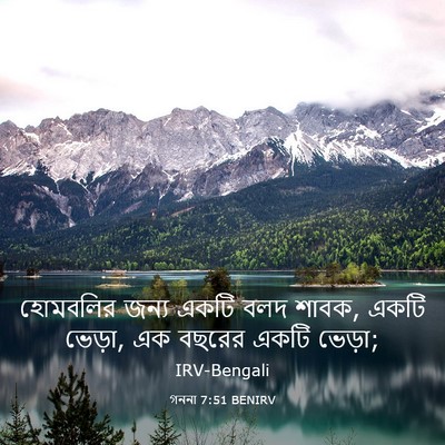 Picture 03 - গননা 7:51 BENIRV - হোমবলির জন্য একটি - Bible Verse Picture