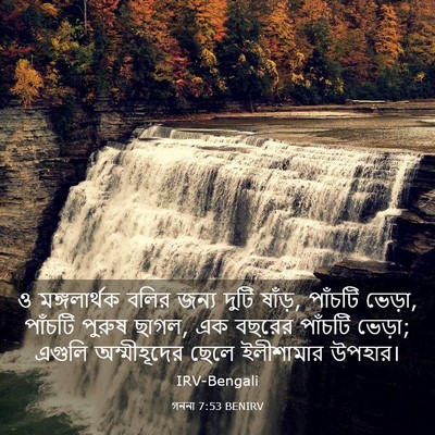 Picture 03 - গননা 7:53 BENIRV - ও মঙ্গলার্থক বলির - Bible Verse Picture