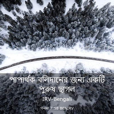 Picture 03 - গননা 7:58 BENIRV - পাপার্থক বলিদানের - Bible Verse Picture