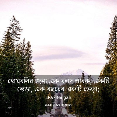 Picture 03 - গননা 7:63 BENIRV - হোমবলির জন্য এক - Bible Verse Picture