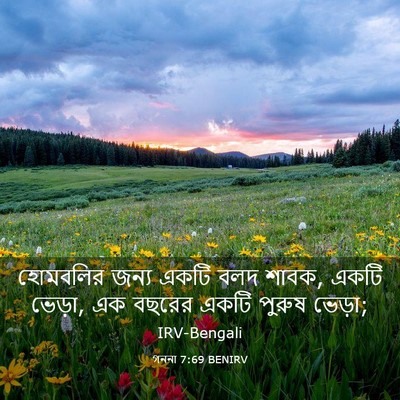 Picture 03 - গননা 7:69 BENIRV - হোমবলির জন্য একটি - Bible Verse Picture