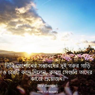 Picture 03 - গননা 7:7 BENIRV - তিনি গের্শোনের - Bible Verse Picture