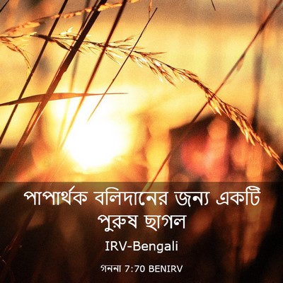 Picture 03 - গননা 7:70 BENIRV - পাপার্থক বলিদানের - Bible Verse Picture