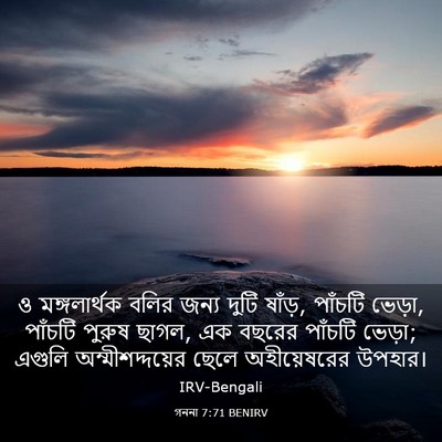 Picture 03 - গননা 7:71 BENIRV - ও মঙ্গলার্থক বলির - Bible Verse Picture