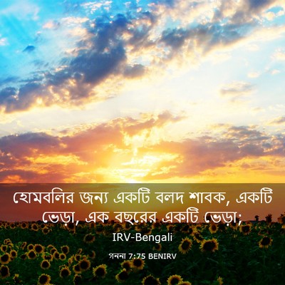 Picture 03 - গননা 7:75 BENIRV - হোমবলির জন্য একটি - Bible Verse Picture