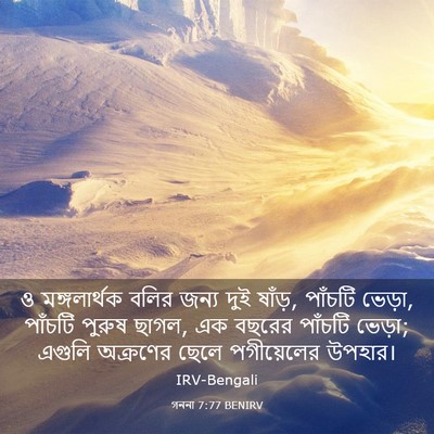 Picture 03 - গননা 7:77 BENIRV - ও মঙ্গলার্থক বলির - Bible Verse Picture