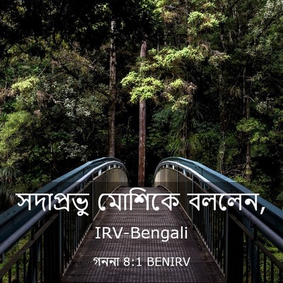 Picture 03 - গননা 8:1 BENIRV - সদাপ্রভু মোশিকে - Bible Verse Picture