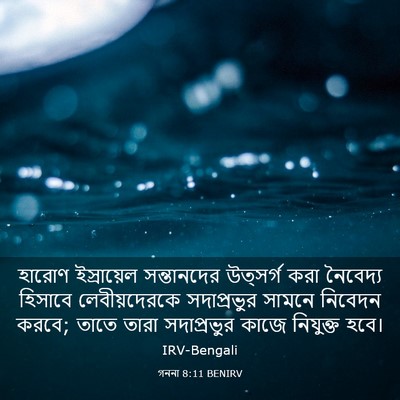 Picture 03 - গননা 8:11 BENIRV - হারোণ ইস্রায়েল - Bible Verse Picture