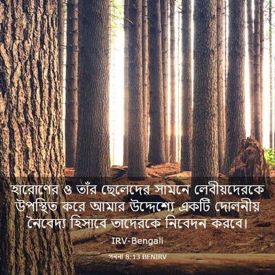 Picture 03 - গননা 8:13 BENIRV - হারোণের ও তাঁর - Bible Verse Picture
