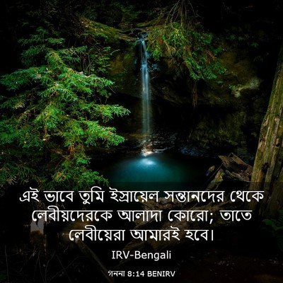 Picture 03 - গননা 8:14 BENIRV - এই ভাবে তুমি - Bible Verse Picture