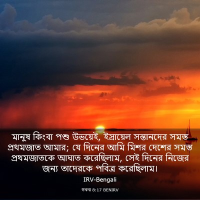 Picture 03 - গননা 8:17 BENIRV - মানুষ কিংবা পশু - Bible Verse Picture