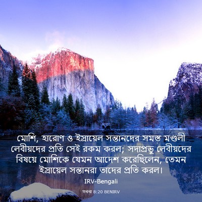 Picture 03 - গননা 8:20 BENIRV - মোশি, হারোণ ও - Bible Verse Picture