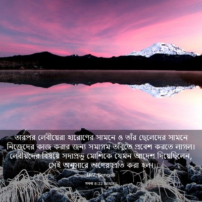 Picture 03 - গননা 8:22 BENIRV - তারপর লেবীয়েরা - Bible Verse Picture