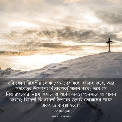Picture 03 - গননা 9:14 BENIRV - যদি কোন বিদেশীয় - Bible Verse Picture