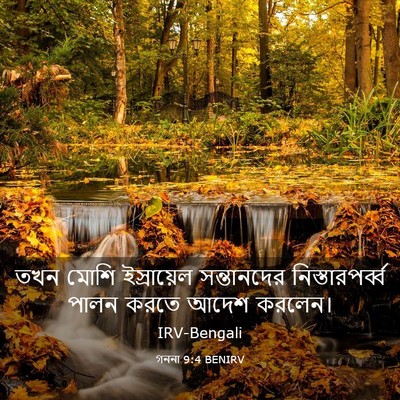 Picture 03 - গননা 9:4 BENIRV - তখন মোশি - Bible Verse Picture
