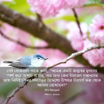 Picture 03 - গননা 9:7 BENIRV - সেই লোকগুলি তাকে - Bible Verse Picture