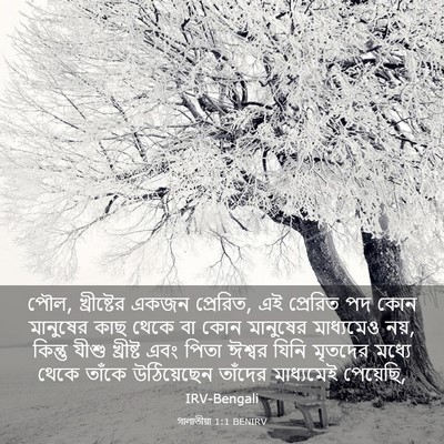 Picture 03 - গালাতীয়া 1:1 BENIRV - পৌল, খ্রীষ্টের - Bible Verse Picture