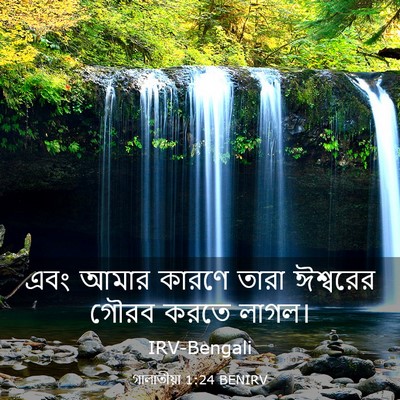 Picture 03 - গালাতীয়া 1:24 BENIRV - এবং আমার কারণে - Bible Verse Picture