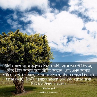 Picture 03 - গালাতীয়া 2:20 BENIRV - খ্রীষ্টের সাথে - Bible Verse Picture