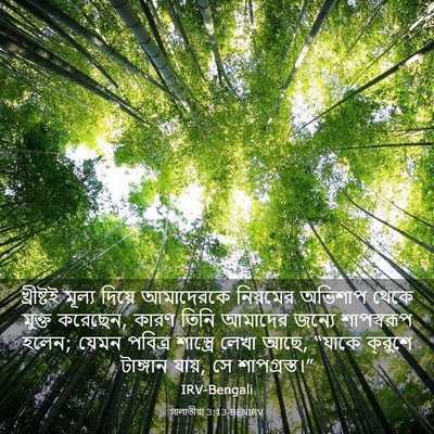 Picture 03 - গালাতীয়া 3:13 BENIRV - খ্রীষ্টই মূল্য - Bible Verse Picture