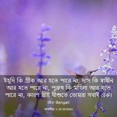 Picture 03 - গালাতীয়া 3:28 BENIRV - ইহূদি কি গ্রীক আর - Bible Verse Picture