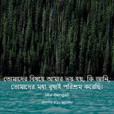 Picture 03 - গালাতীয়া 4:11 BENIRV - তোমাদের বিষয়ে - Bible Verse Picture