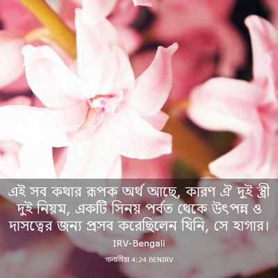 Picture 03 - গালাতীয়া 4:24 BENIRV - এই সব কথার রূপক - Bible Verse Picture