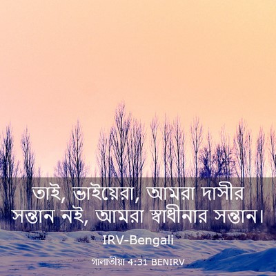 Picture 03 - গালাতীয়া 4:31 BENIRV - তাই, ভাইয়েরা, আমরা - Bible Verse Picture