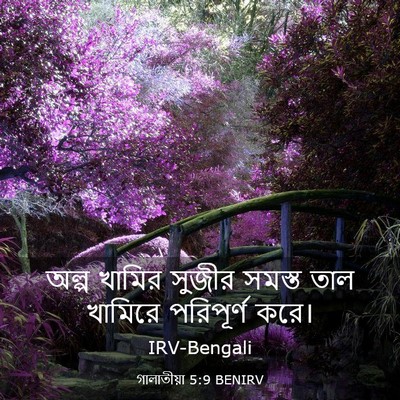 Picture 03 - গালাতীয়া 5:9 BENIRV - অল্প খামির সুজীর - Bible Verse Picture
