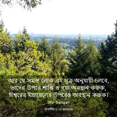 Picture 03 - গালাতীয়া 6:16 BENIRV - আর যে সমস্ত লোক এই - Bible Verse Picture