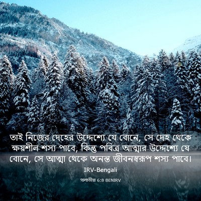 Picture 03 - গালাতীয়া 6:8 BENIRV - তাই নিজের দেহের - Bible Verse Picture