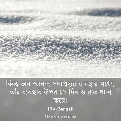 Picture 03 - গীতমালা 1:2 BENIRV - কিন্তু তার আনন্দ - Bible Verse Picture