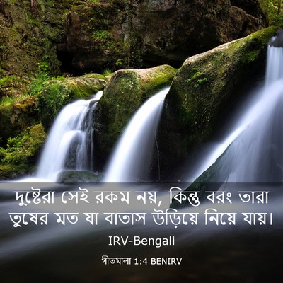 Picture 03 - গীতমালা 1:4 BENIRV - দুষ্টেরা সেই রকম - Bible Verse Picture