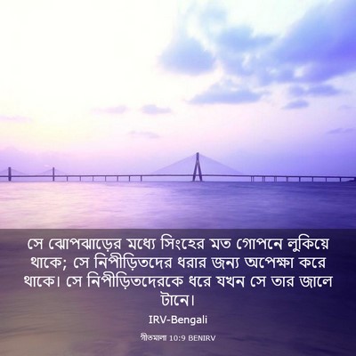 Picture 03 - গীতমালা 10:9 BENIRV - সে ঝোপঝাড়ের - Bible Verse Picture