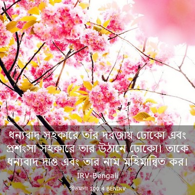 Picture 03 - গীতমালা 100:4 BENIRV - ধন্যবাদ সহকারে - Bible Verse Picture