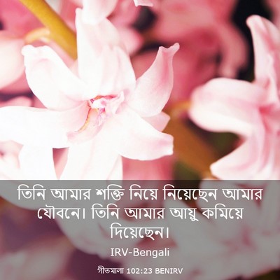 Picture 03 - গীতমালা 102:23 BENIRV - তিনি আমার শক্তি - Bible Verse Picture