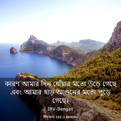 Picture 03 - গীতমালা 102:3 BENIRV - কারণ আমার দিন - Bible Verse Picture