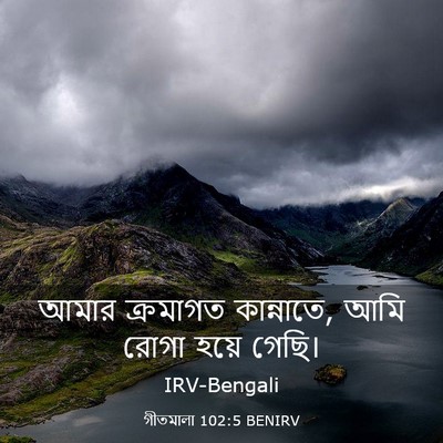 Picture 03 - গীতমালা 102:5 BENIRV - আমার ক্রমাগত - Bible Verse Picture