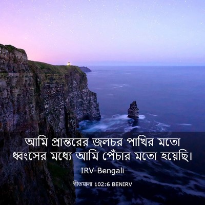 Picture 03 - গীতমালা 102:6 BENIRV - আমি প্রান্তরের - Bible Verse Picture