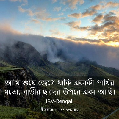 Picture 03 - গীতমালা 102:7 BENIRV - আমি শুয়ে জেগে - Bible Verse Picture