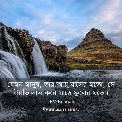Picture 03 - গীতমালা 103:15 BENIRV - যেমন মানুষ, তার - Bible Verse Picture