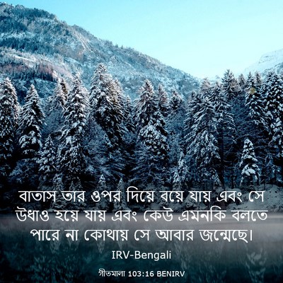 Picture 03 - গীতমালা 103:16 BENIRV - বাতাস তার ওপর - Bible Verse Picture