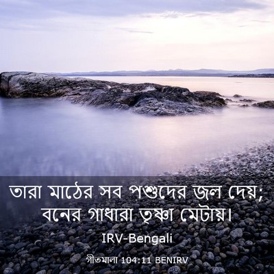 Picture 03 - গীতমালা 104:11 BENIRV - তারা মাঠের সব - Bible Verse Picture